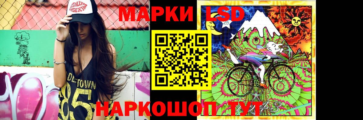 Лсд 25 экстази  Вход с VPN  Новозыбков  Лсд 25 экстази кислота 