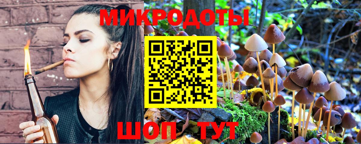 Галлюциногенные грибы мухоморы Новозыбков