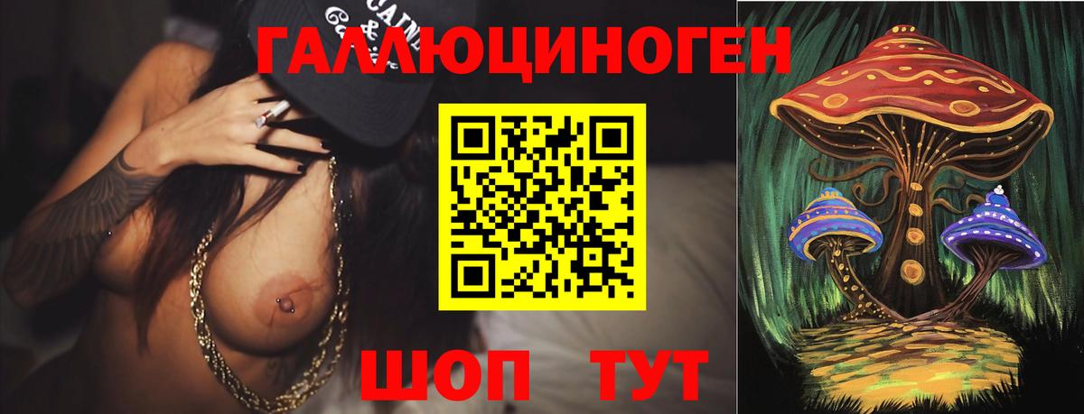 Псилоцибиновые грибы ЛСД  Вход с VPN  Новозыбков 
